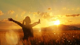 4 Life Changing Law of Attraction Habits